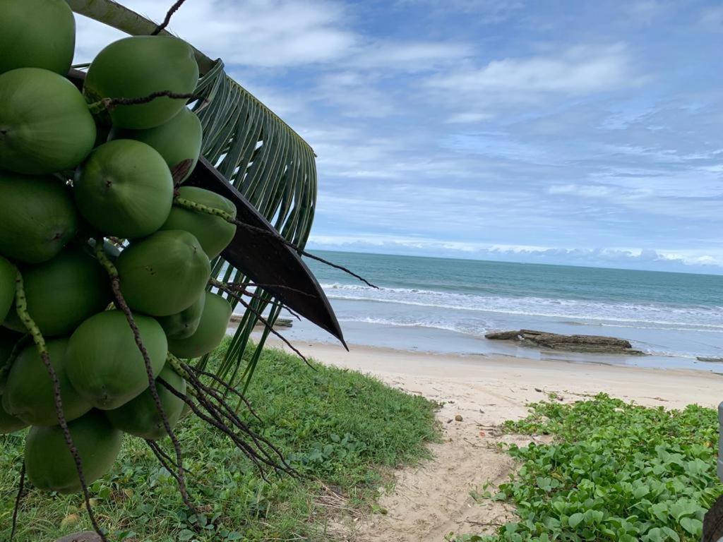 Casa No Paraiso Dos Carneiros Em Tamandare Luaran gambar